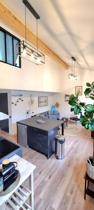 Le Duplex Catherine - Metro - Gare - Wifi *