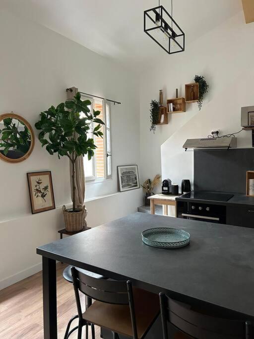 Le Duplex Catherine - Metro - Gare - Wifi Apartment