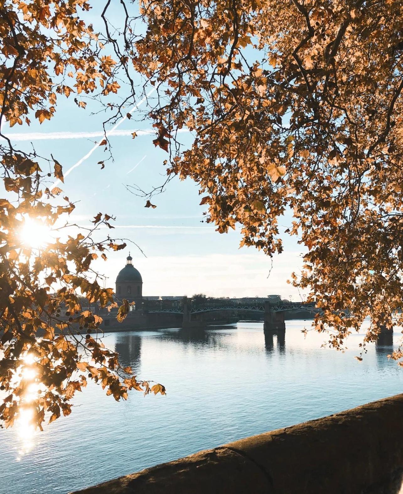 L Alsace Lorraine - A 5min Place Du Capitole -free Checkin -wifi Apartment Toulouse