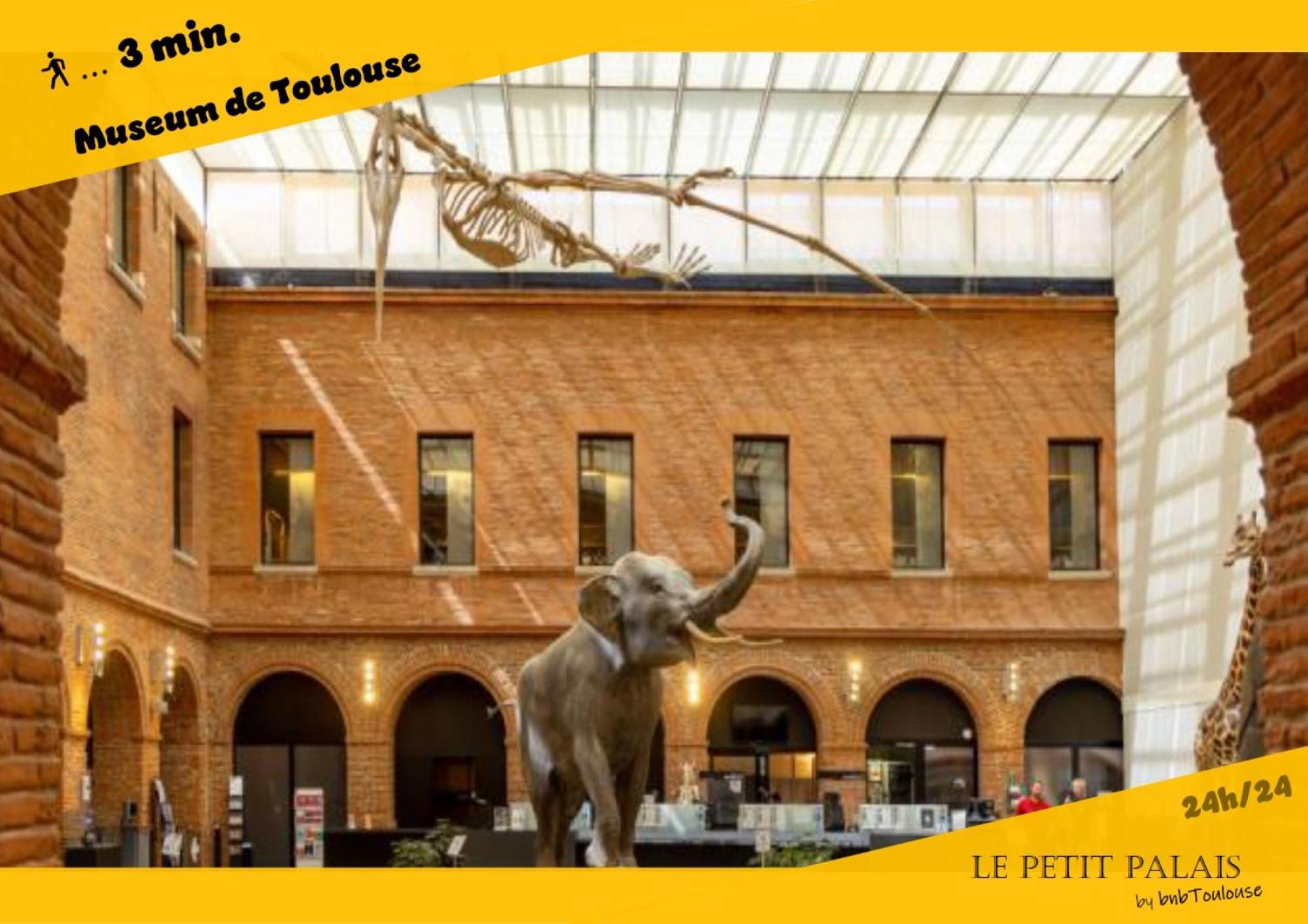 Apartamento Le Petit Palais Au Calme Proche Metro/tram • Wifi *