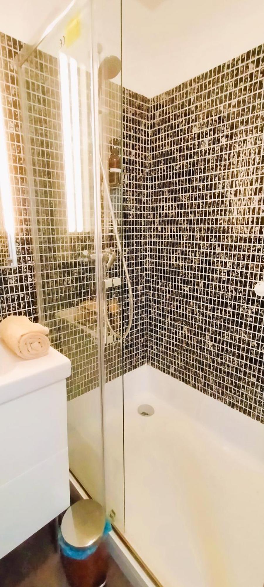 Apartment Studio Spacieux Hyper Centre Toulouse
