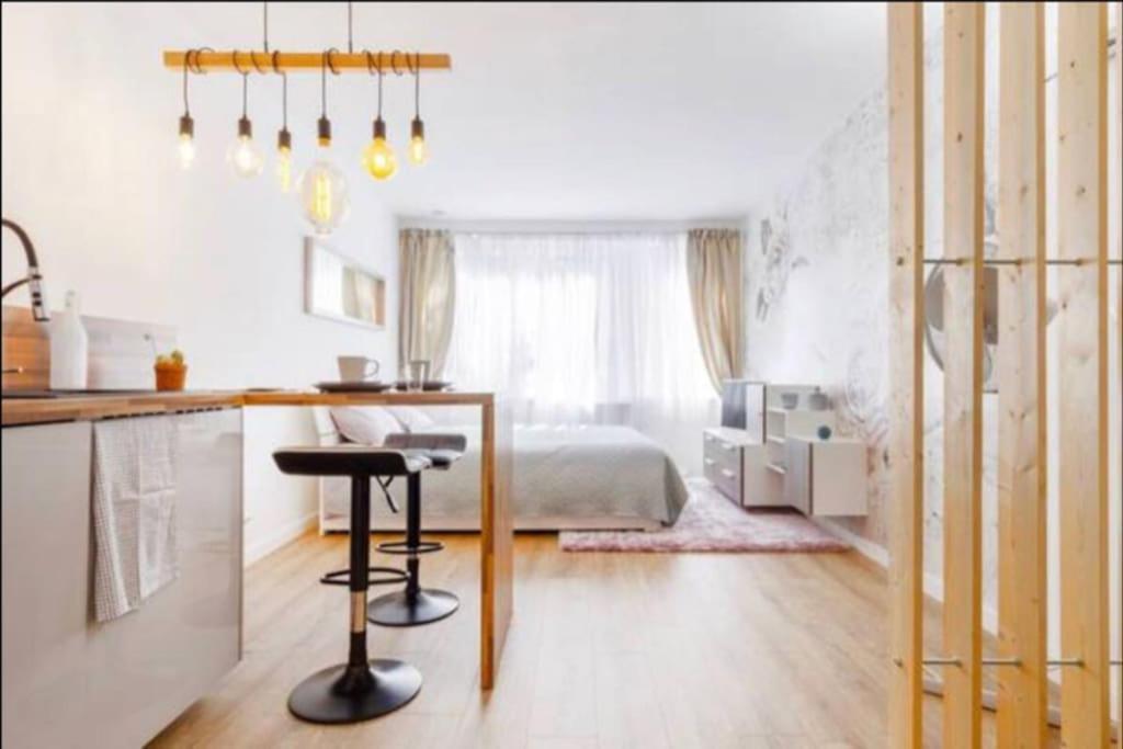 Grand Studio*victor Hugo*centre Apartment *