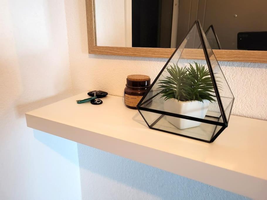 Cosy Duplex - Ma Cabotte Apartment Toulouse