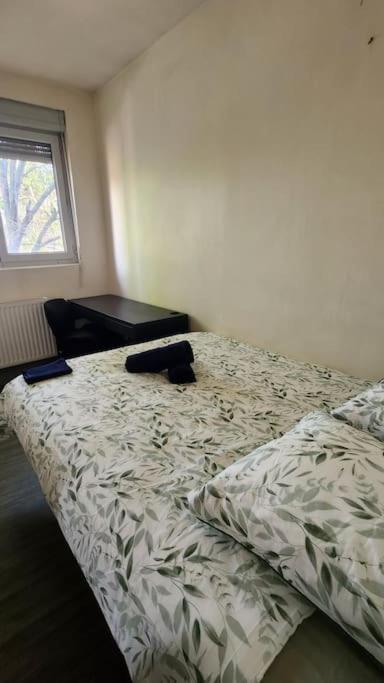 Petit Confort - T3 Proche Commodites - Parking - Hypercentre *