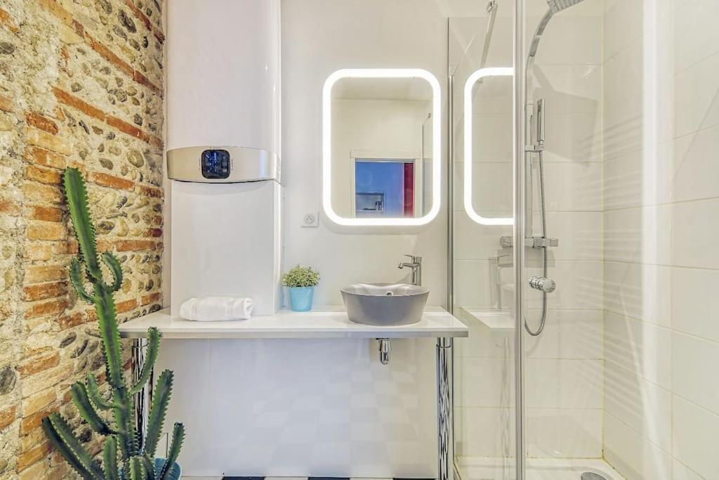 Americain Centre-ville Apartment Toulouse