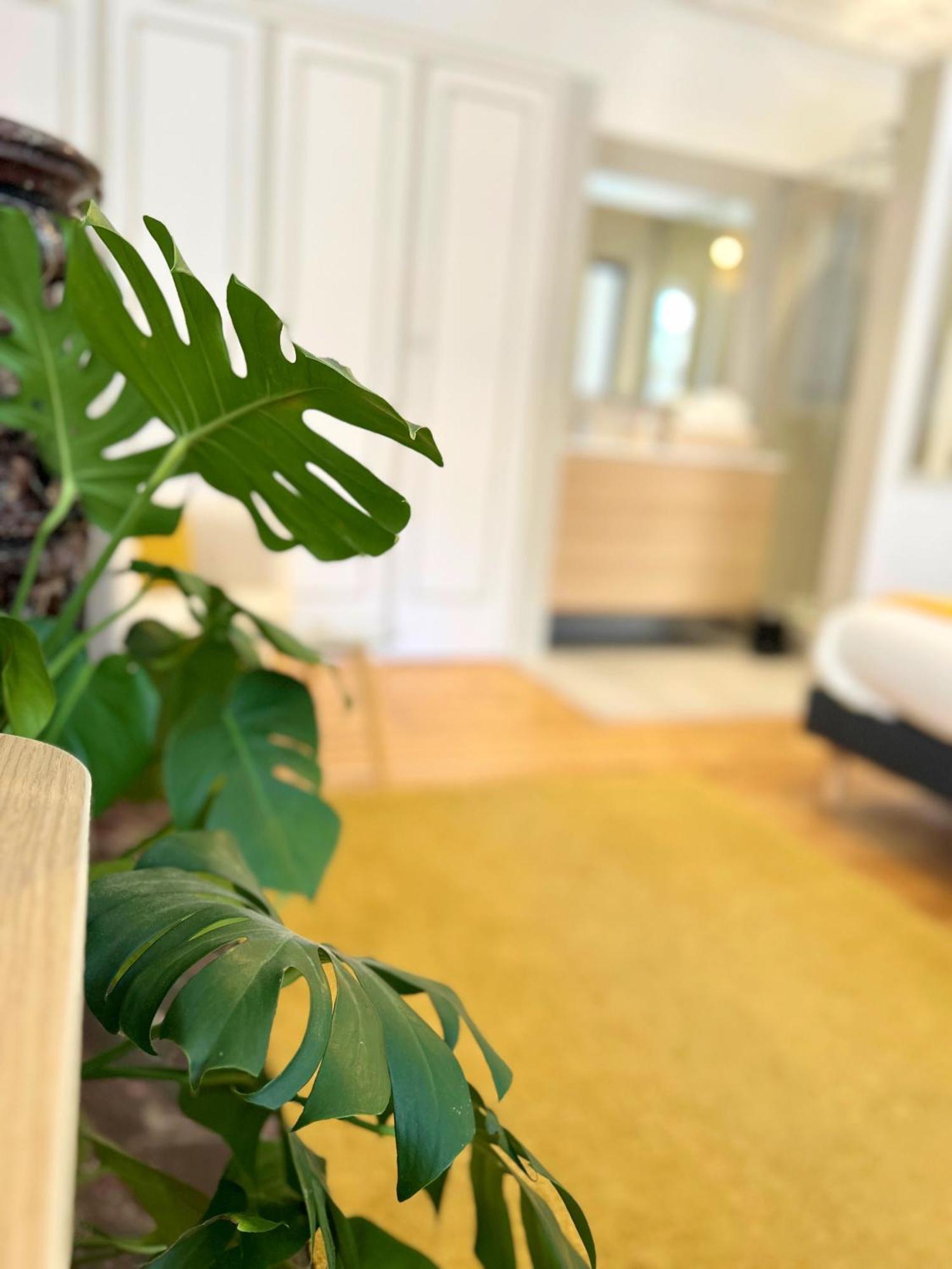 Apartment L'elegant Paradoux - 3 Sdb - 2 Wc - Ascenseur - Parking - Plein Centre Toulouse