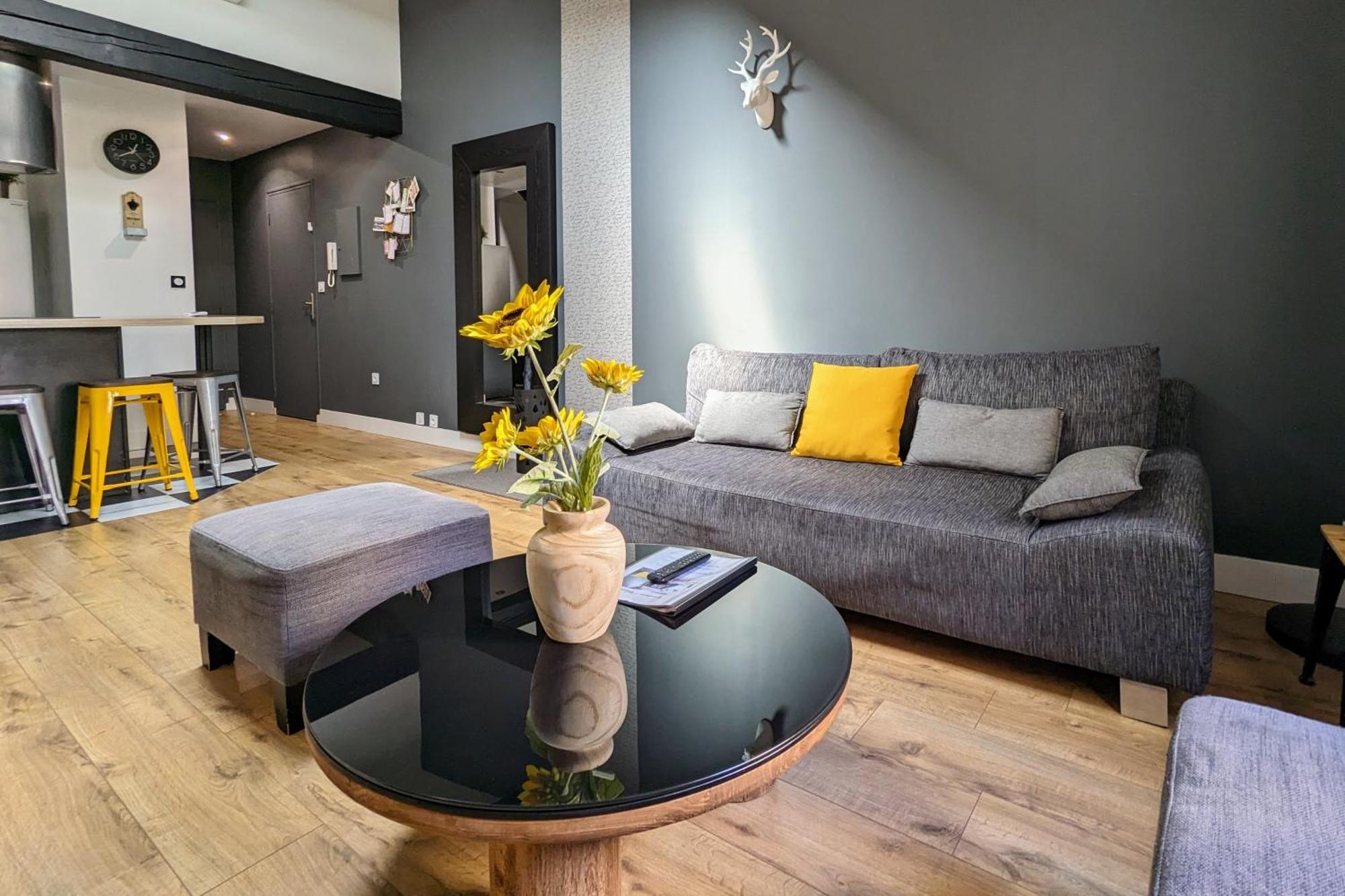 Grand Duplex - Parking Prive - Centre - Calme Toulouse