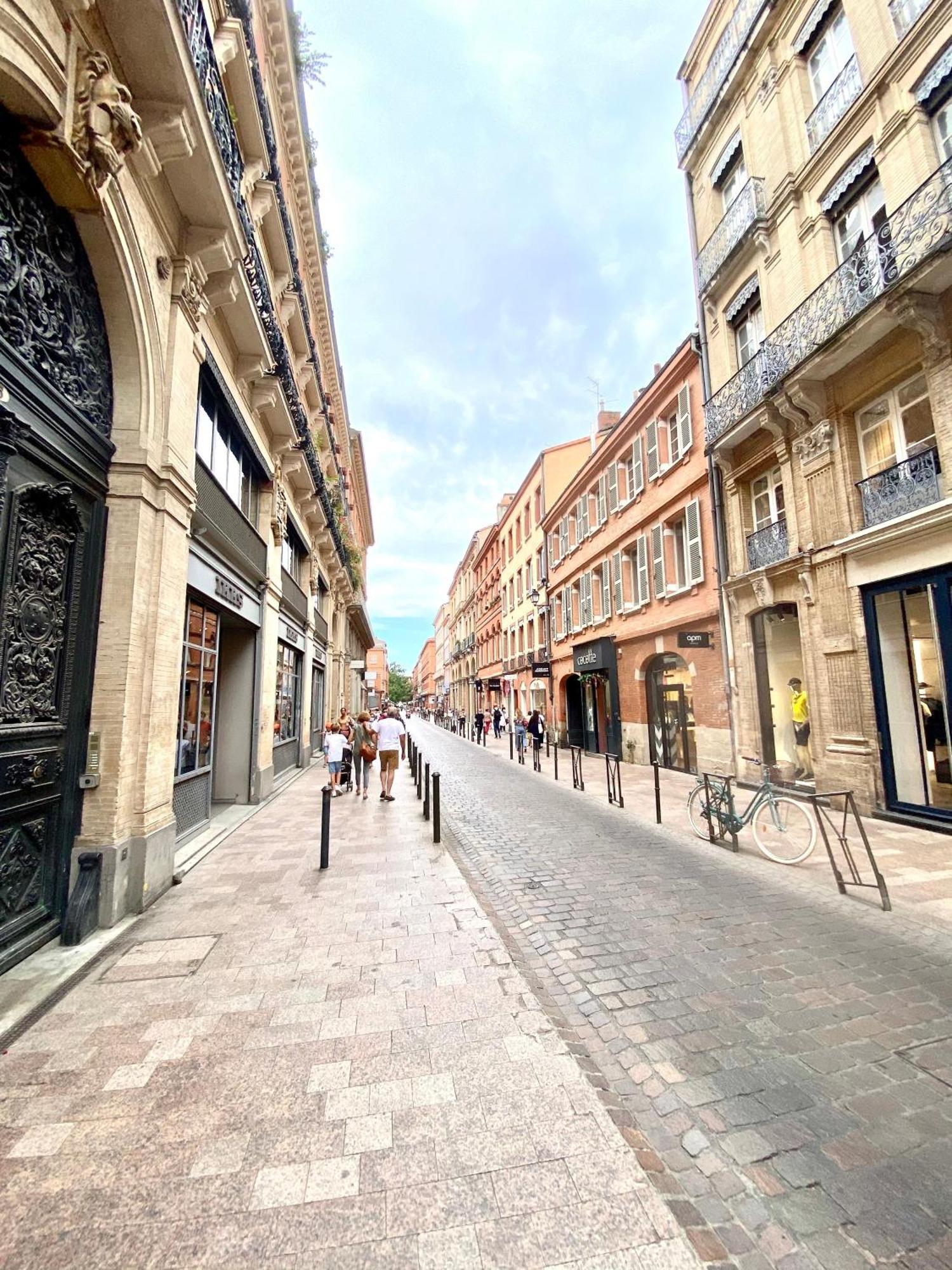 Le Perk - Centre Historique Toulousain Appartement