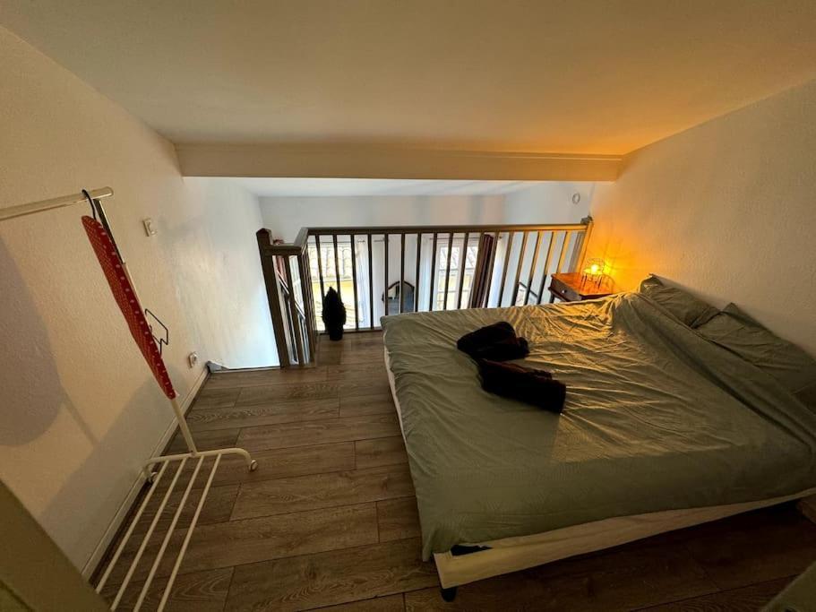 Apartment Grand Duplex - Gare Matabiau - Centre