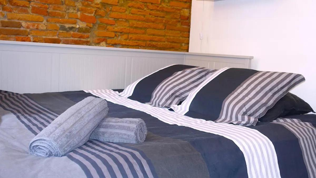 Apartment Toulouse-cyprien, Typique A 10' Capitole & Carmes