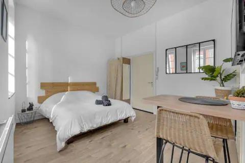Apartamento Charme Toulousain - Hyper Centre - Proche Metro Toulouse