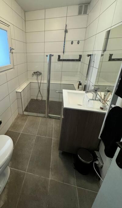 Appartement Maison Centre-ville Avec Terrasse Privee De 35m2 Toulouse