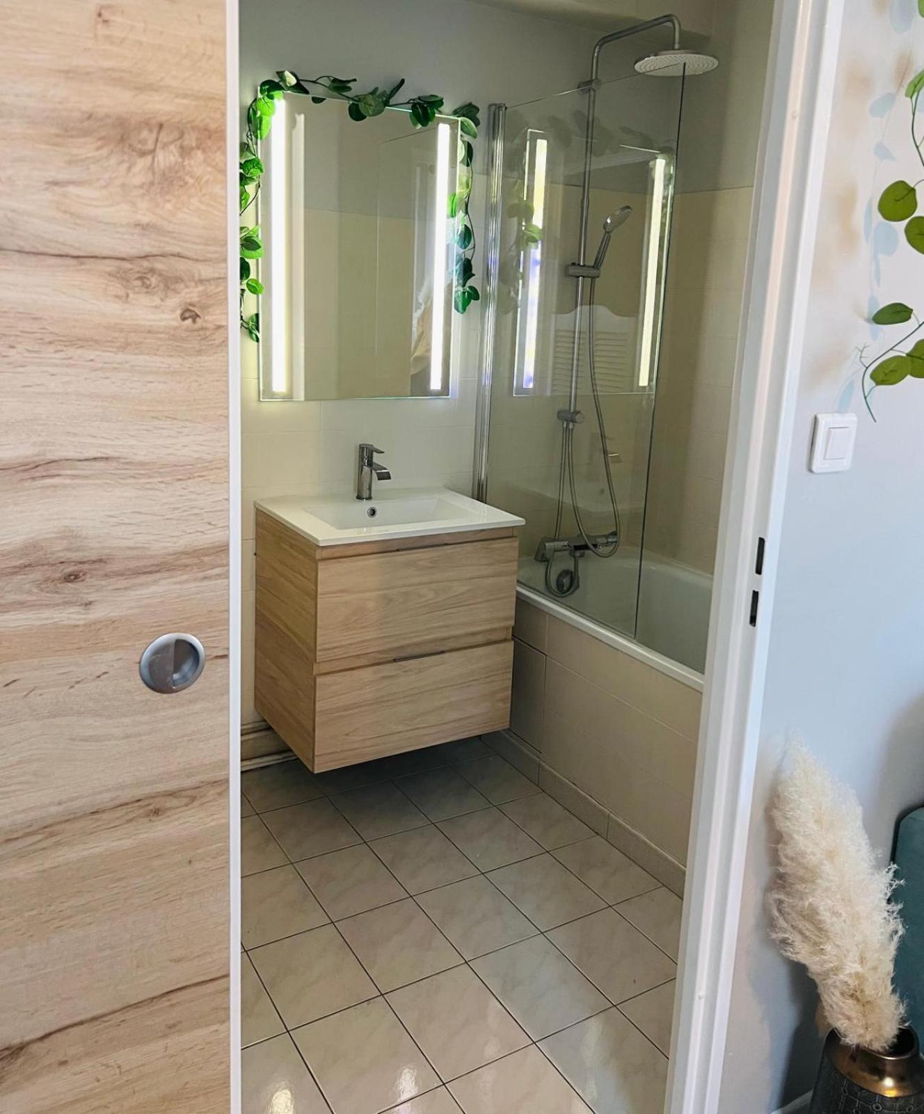 Apartamento & Cosy T2 Toulousain Toulouse