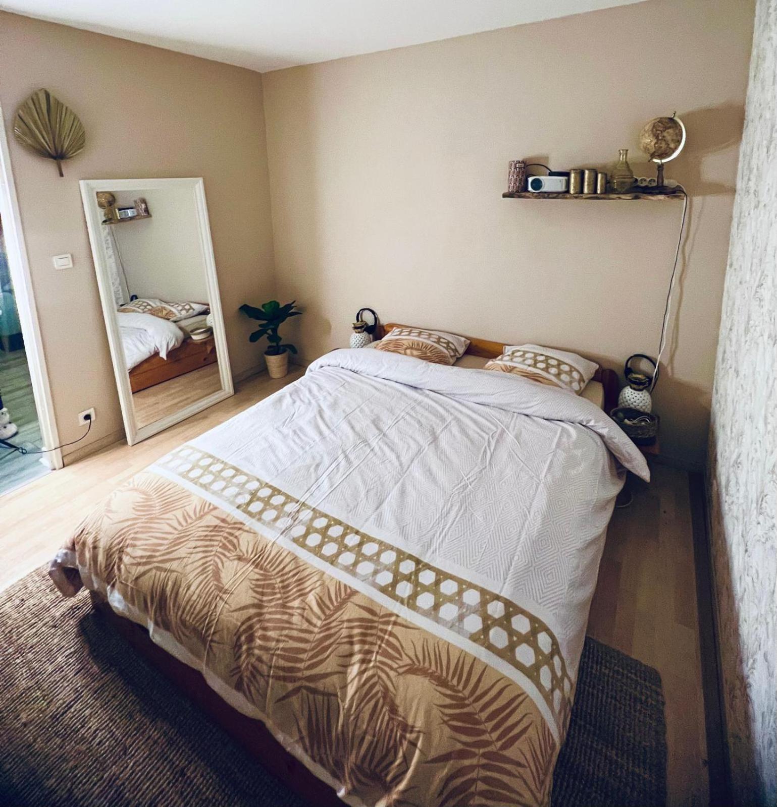 Apartamento & Cosy T2 Toulousain Toulouse