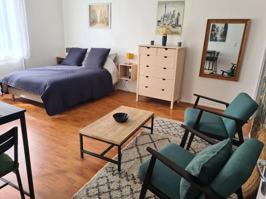 Avec Terrasse Et Place De Parking Apartment Toulouse