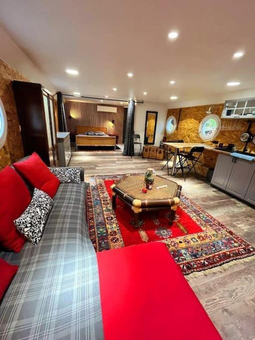 Magnifique Peniche Cosy Et Spacieuse A Toulouse