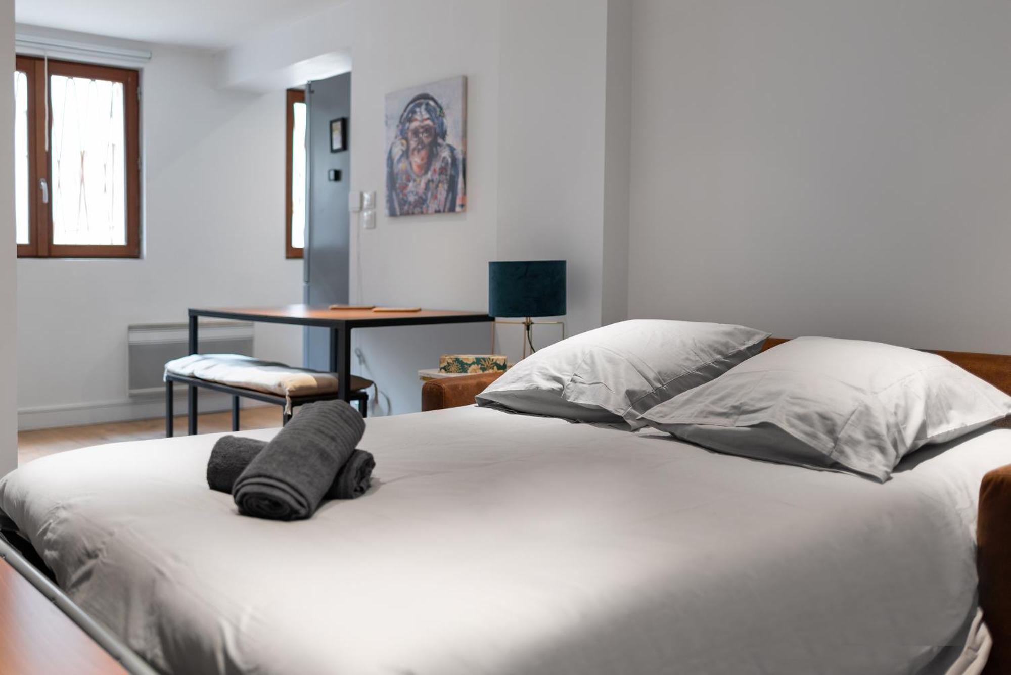 Le Gorille Hypercentre Et Climatisation Apartamento