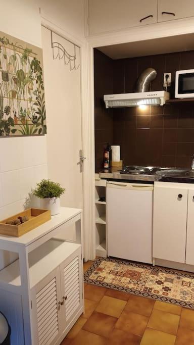 Petit Mignon - Hypercentre * Toulouse