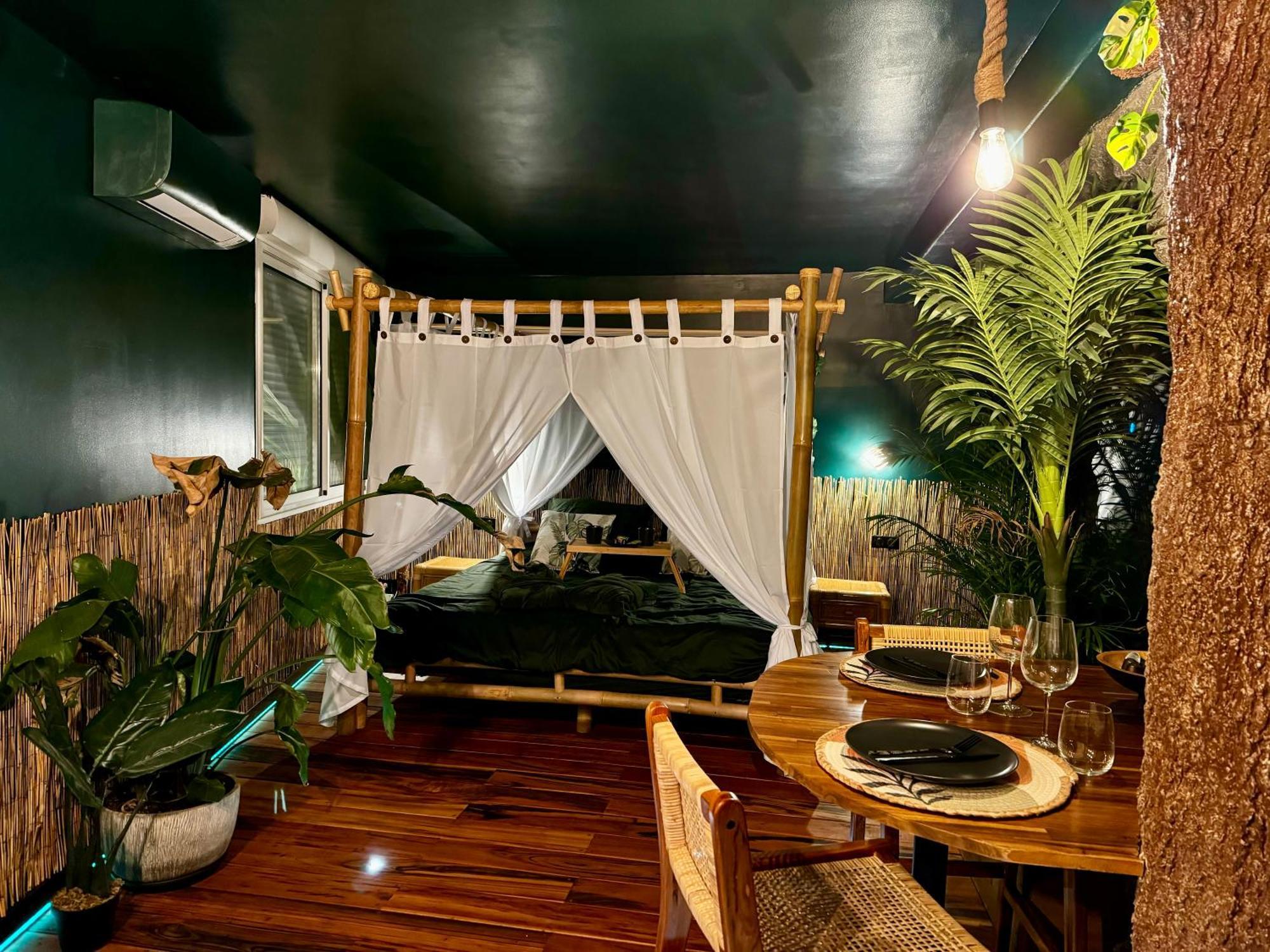 Apartamento Jungle