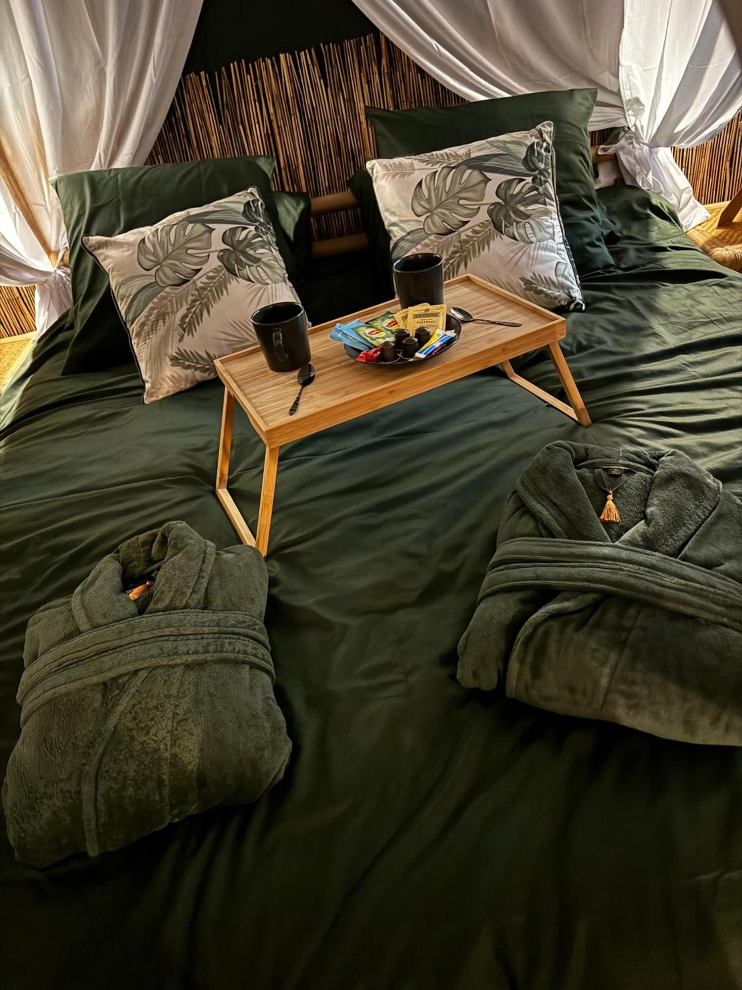 Apartamento Jungle Toulouse
