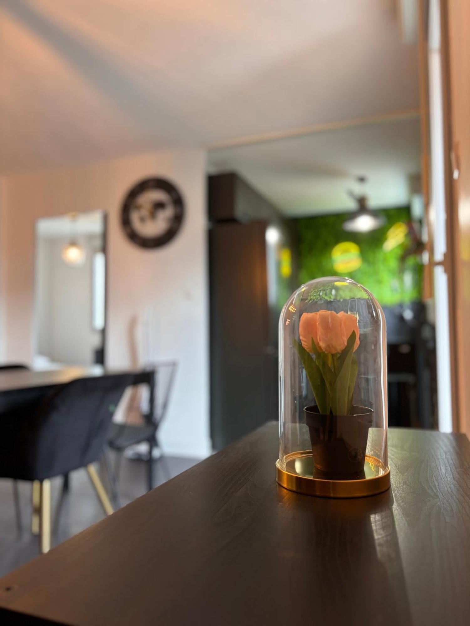 Charmant Appartement Toulouse *
