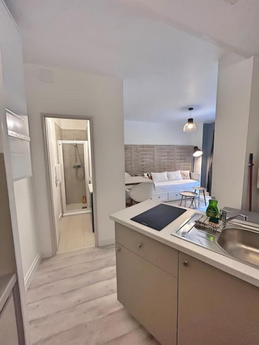 Apartment Jardin Royal - - Calme Toulouse