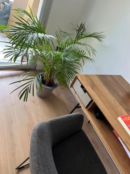 Le Petit Bruxelles Au Calme Apartment *