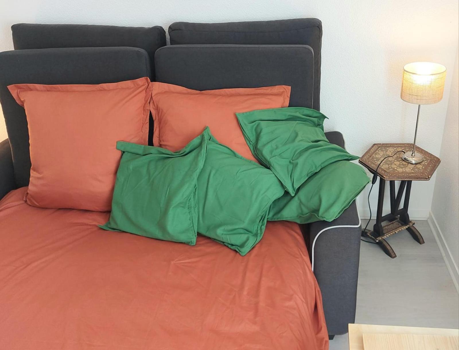 Airbus Luxe Espace Deco Parking Gratuit Appartement Toulouse