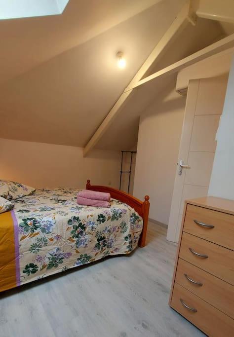 Apartamento La Toulousaine Clim Et Garage Toulouse