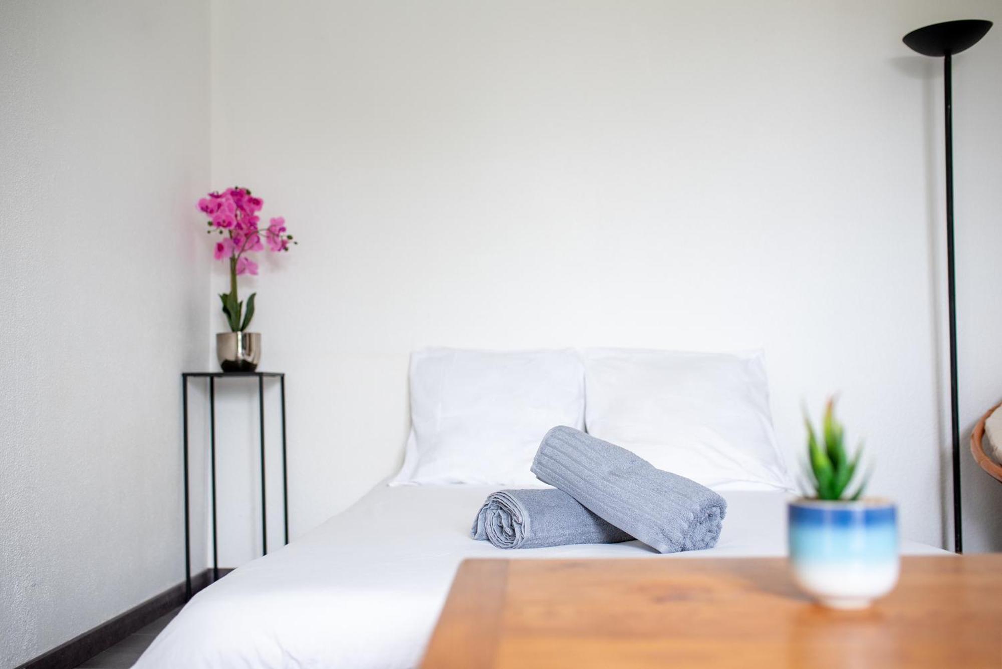 Apartment T2 Rangueil - Terrasse + 2 Parkings - 4 Personnes