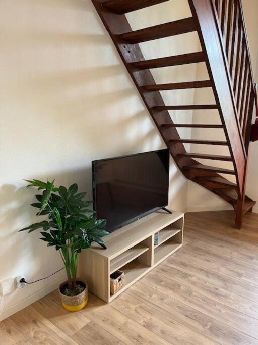 Douce Evasion Appartement Toulouse