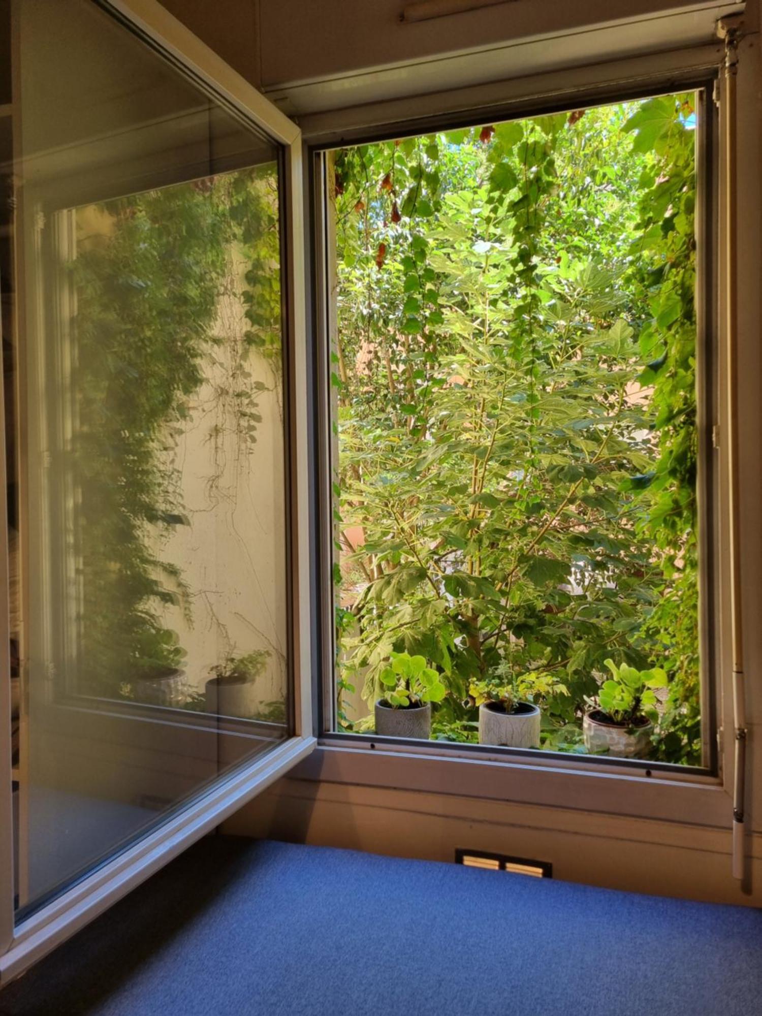 Appartement La Maison De Maila Toulouse