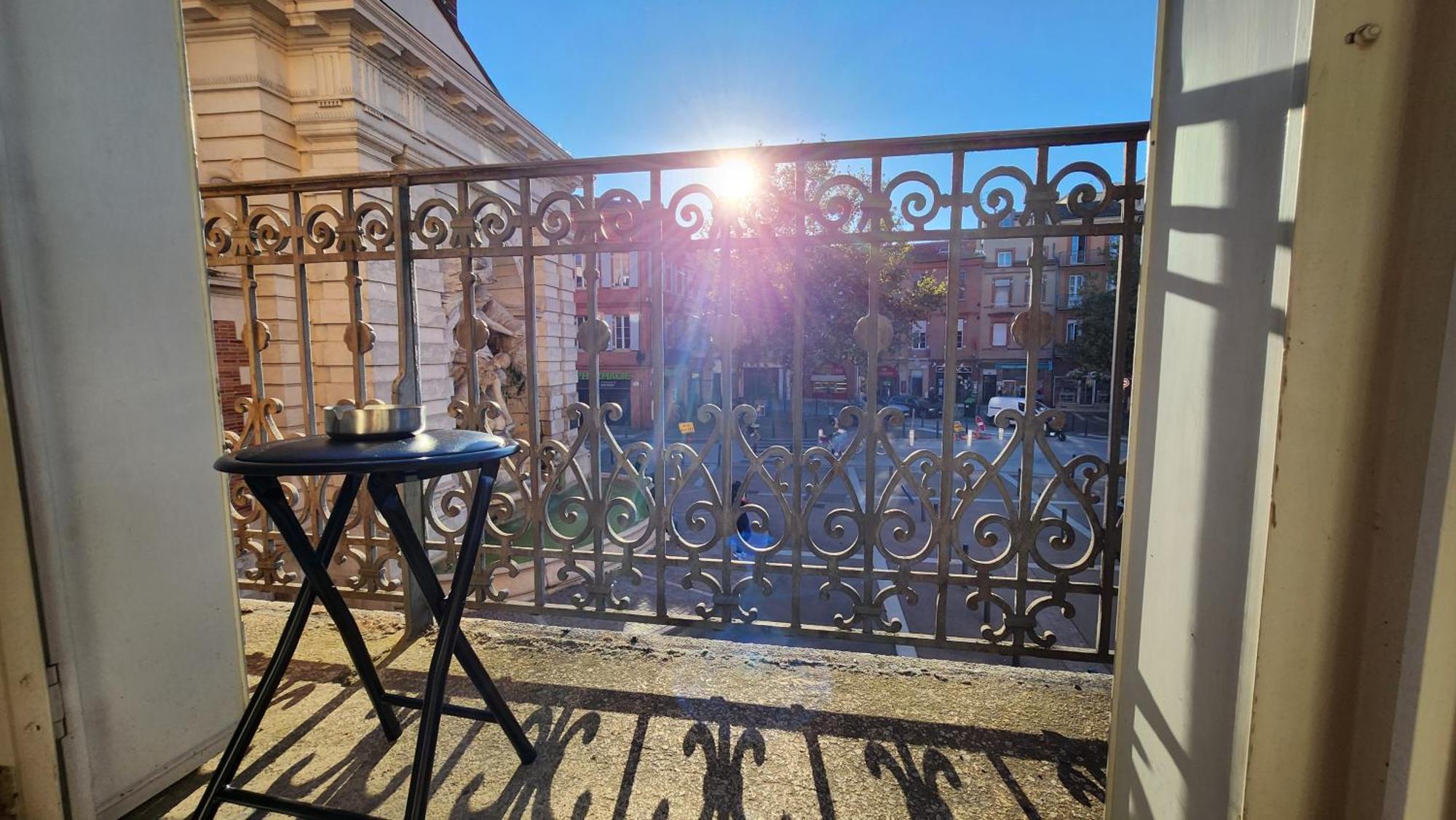 Le Jardin D'eden Premium - Equipe, Balcon, Hypercentre Appartement Toulouse