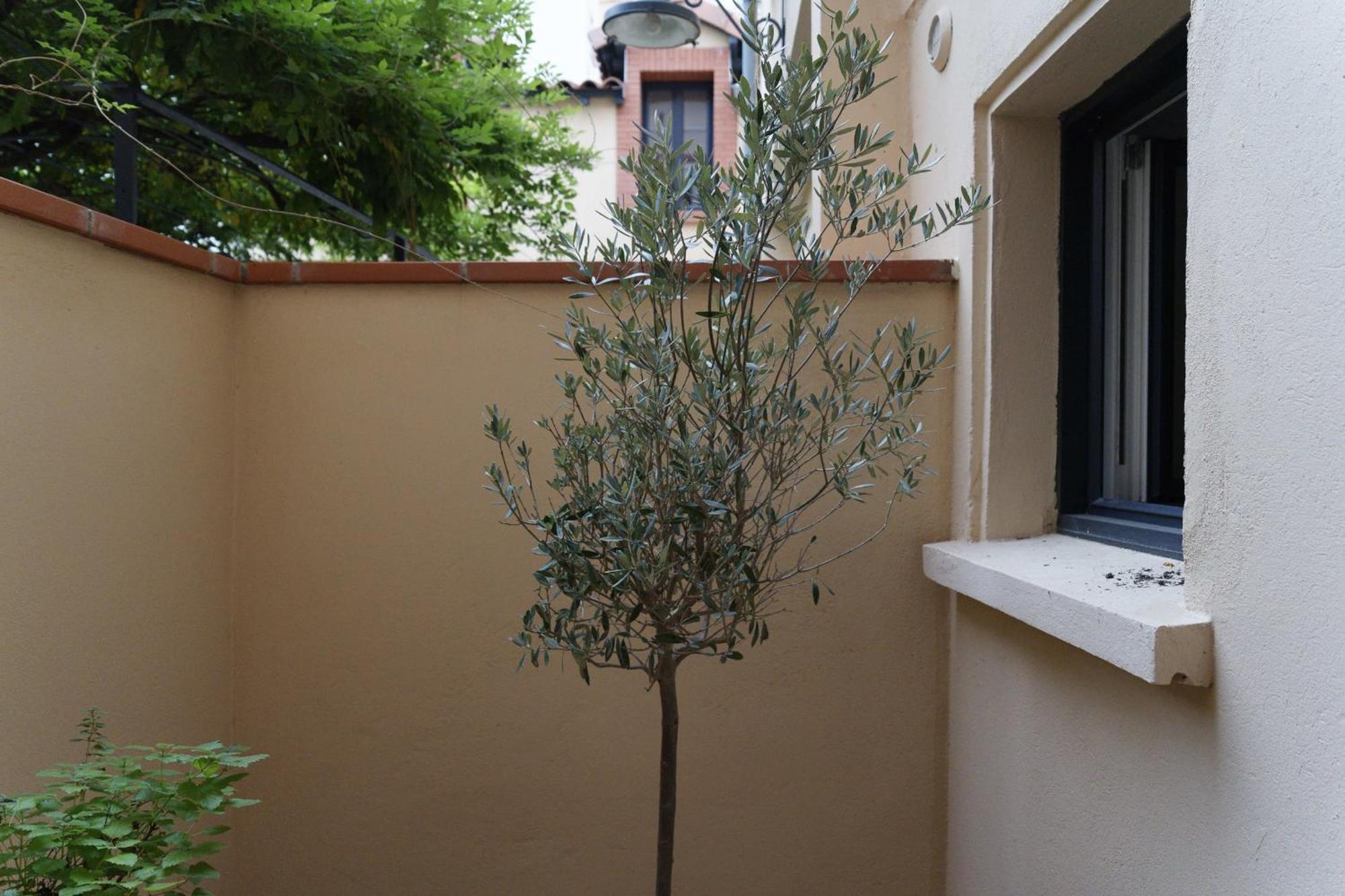 Appartement Luxury Apartment T2 70M2 Saint-Cyprien