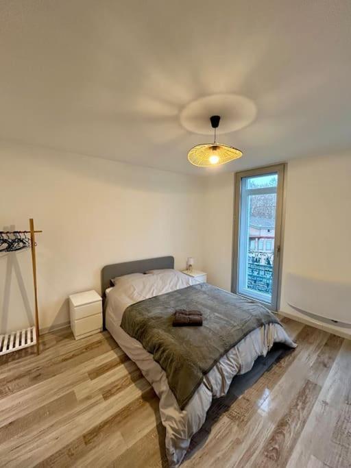 Le Douillet, Proche Gare Et Metro Apartment
