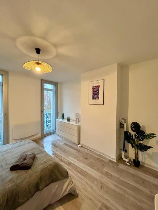 Apartment Le Douillet, Proche Gare Et Metro Toulouse