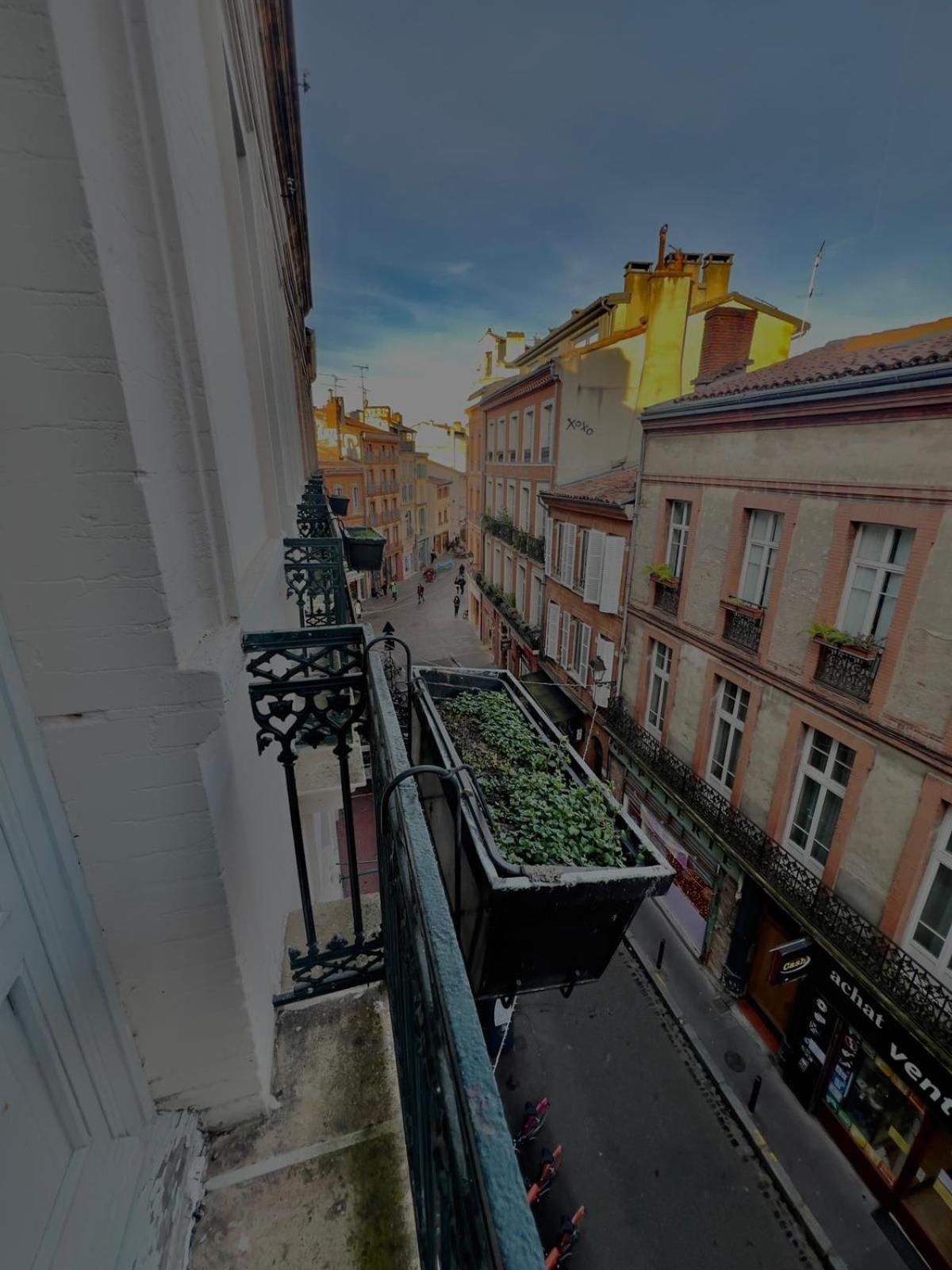 Capitole - T2 Au Coeur De La Rose