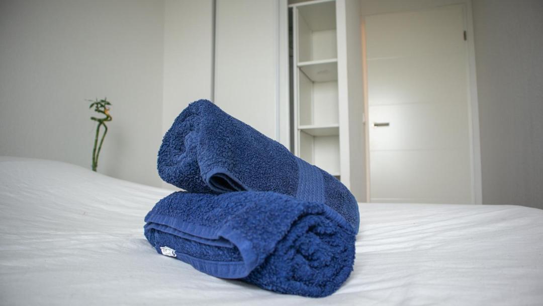 Appartement Rooftop Avec Vue Sur Les Pyrenees Et Jacuzzi, Au Pied Du Zenith Toulouse