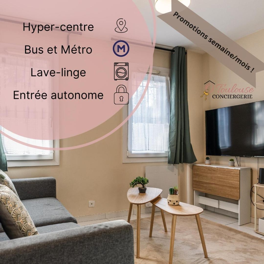 L 'emeraude Toulousaine Appartement *