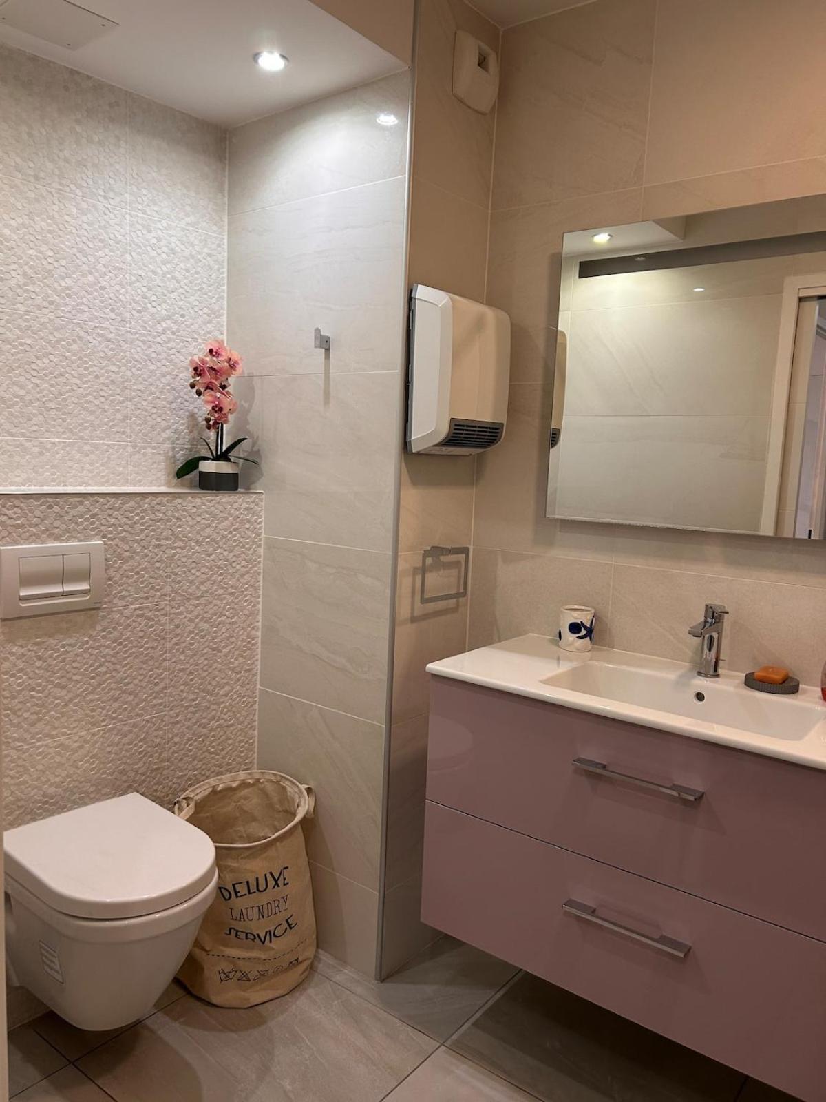 Appartement T2 Dans Avec Piscine Toulouse