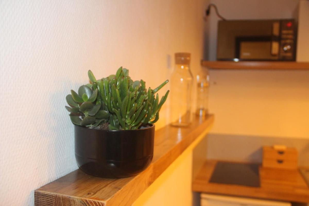 Apartamento Cosy Et Calme En Coeur De - Quartier Saint Aubin Proche Gare Toulouse