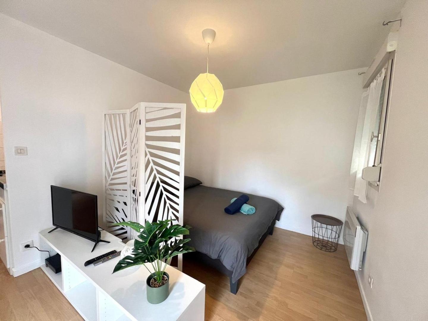 Charming T1 - Parking - Metro St Agne Appartement