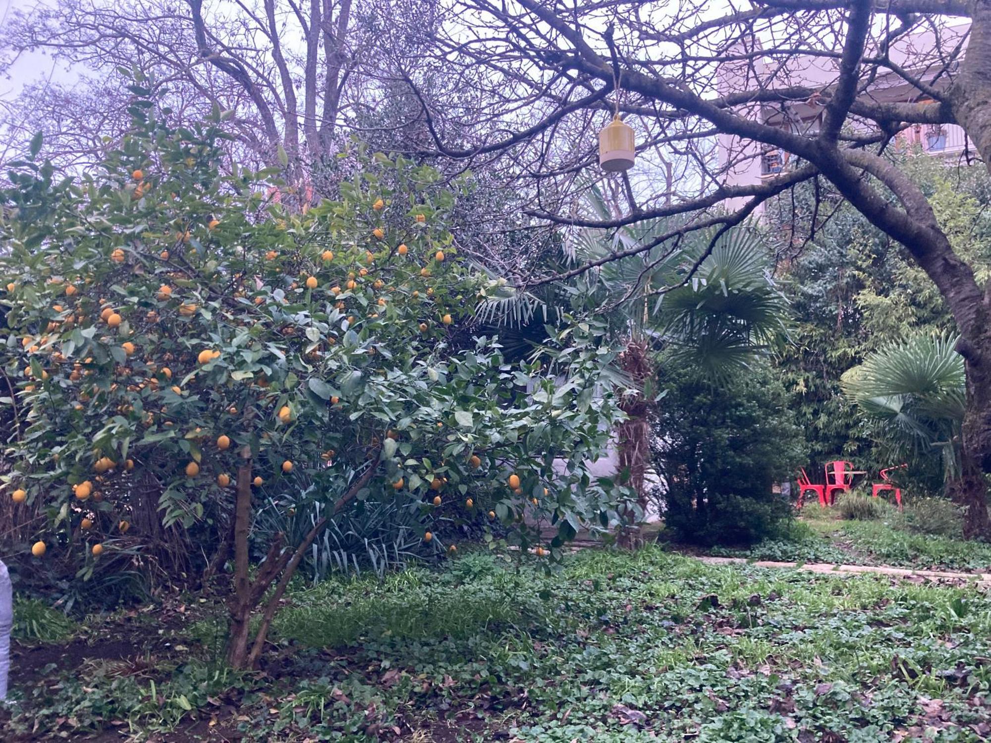 Un Jardin En Apartment Toulouse