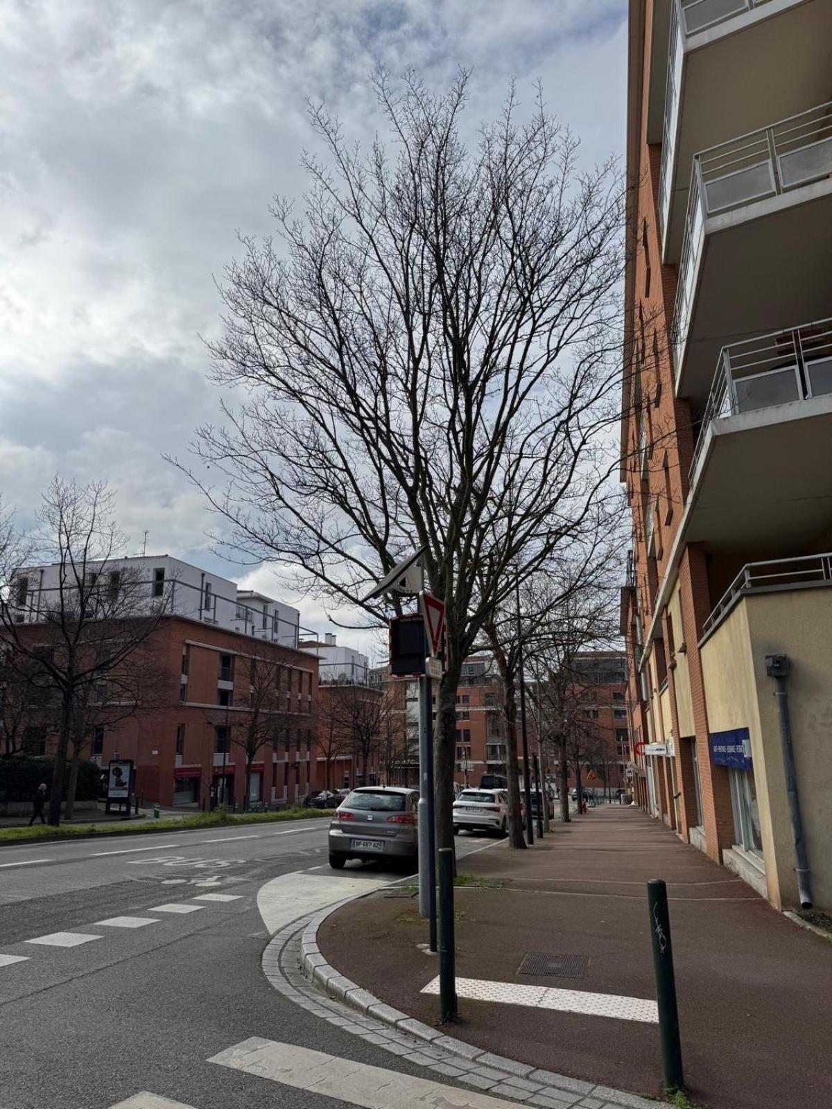 Le Marengo: Charmant, Rénové, Terrasse, Parking Privé Apartamento Toulouse