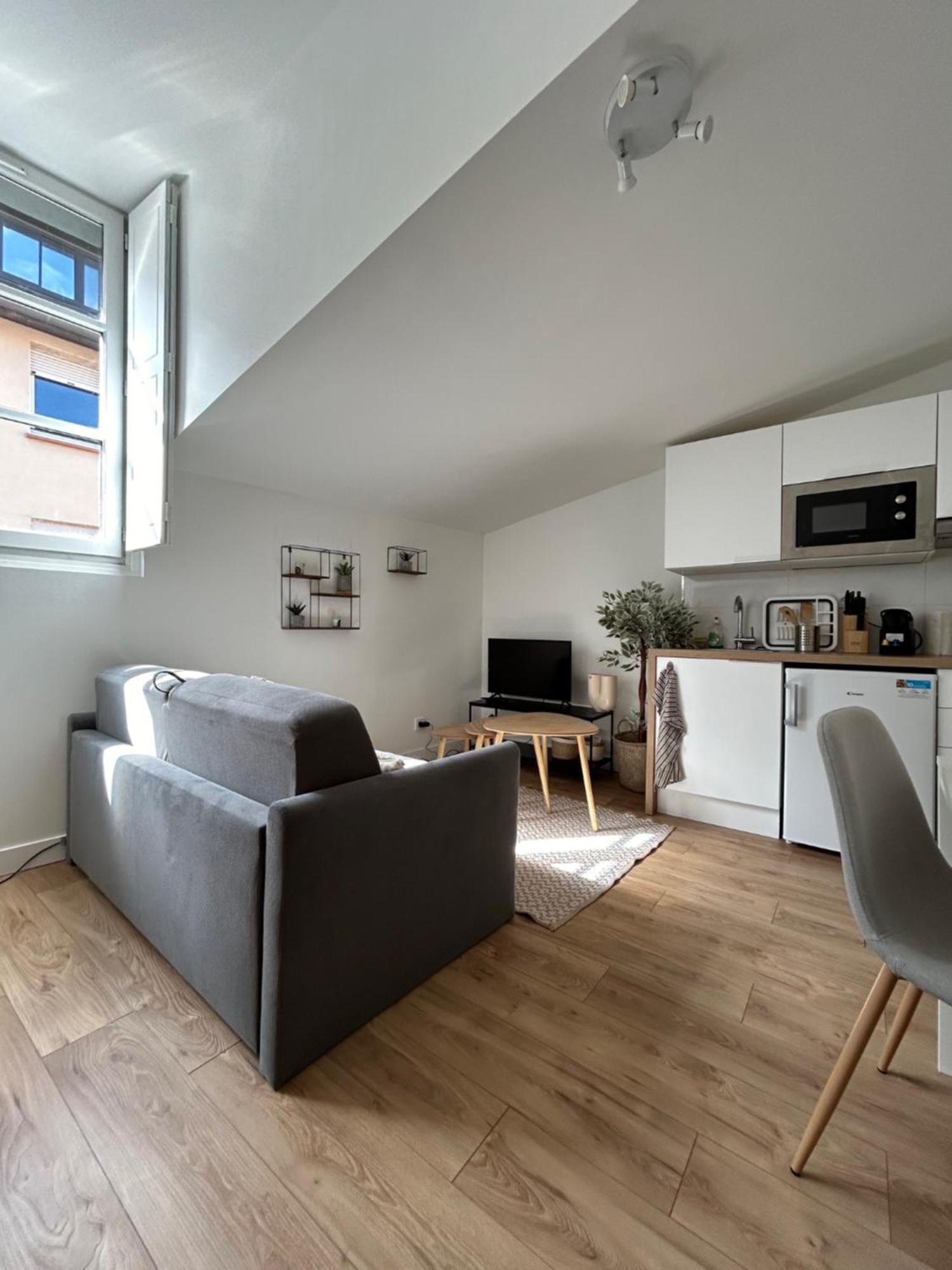 Apartment L'embarcadere Toulousain - T1 - Gare - Centre Toulouse