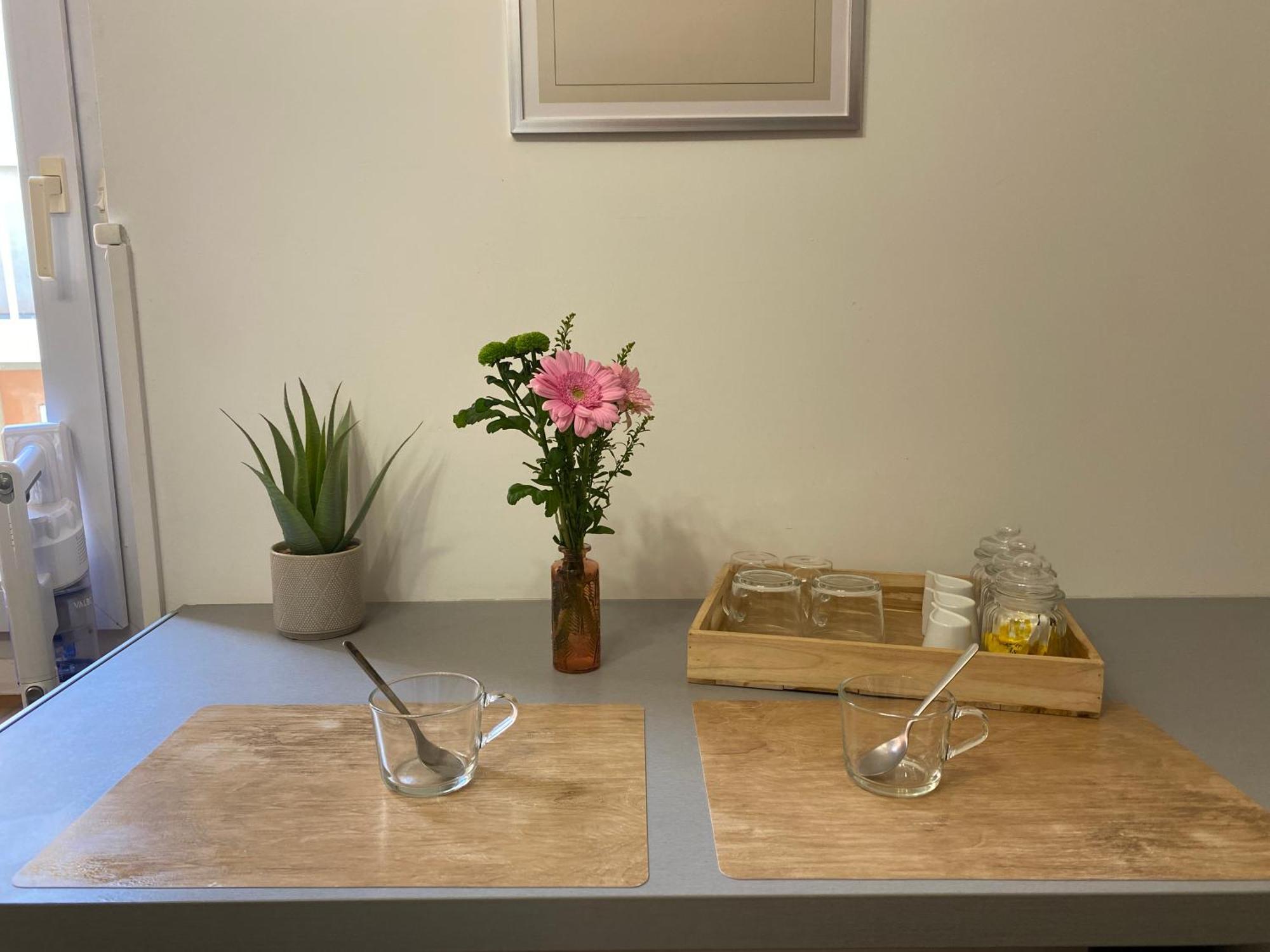 Henry's Place - Cosy En Hypercentre De Toulouse