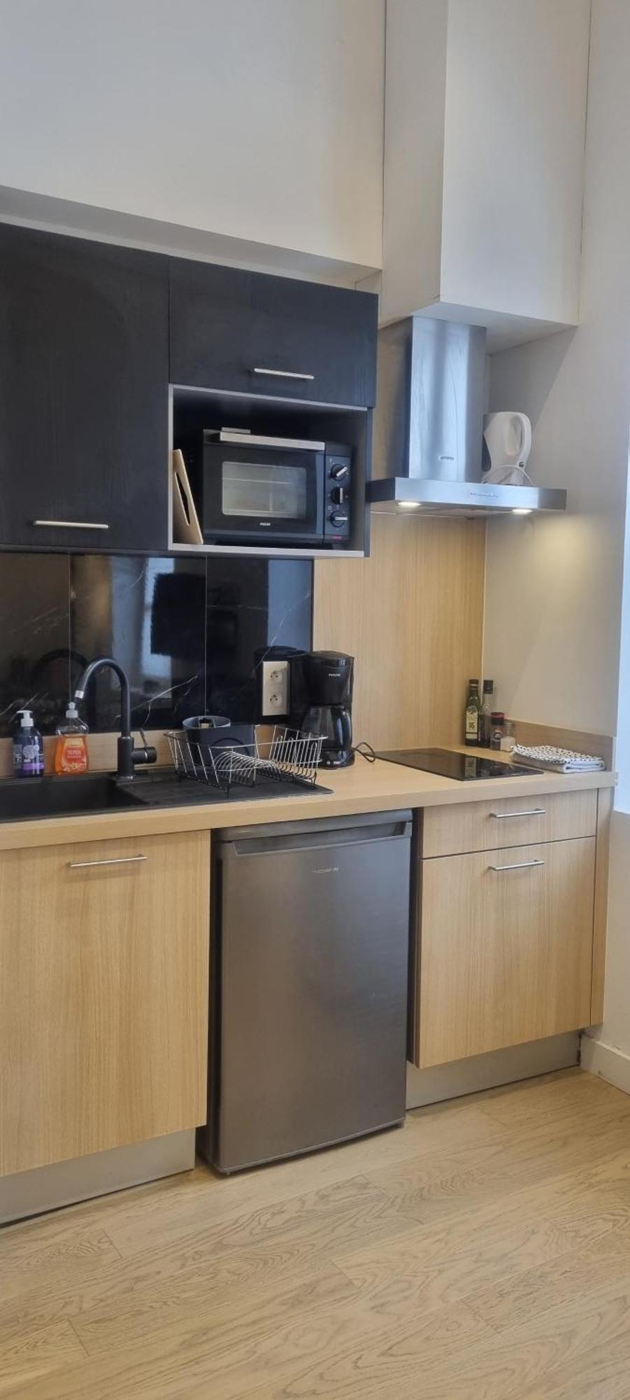 Bel Sous Les Toits De Toulouse-central-climatise- Apartment