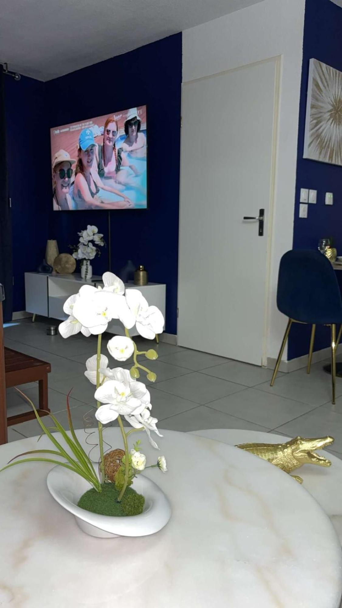 Apartamento And Jacuzzi Toulouse