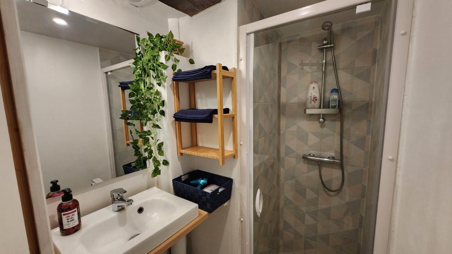 Appartement T4 Souplex Authentique Toulousain, 5pers 3lits- Equipe - Hypercentre
