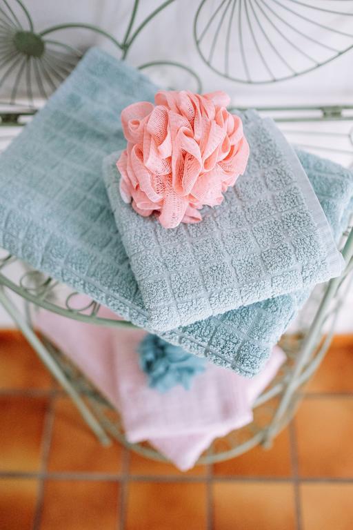 Bed and breakfast La Des Violettes Toulouse